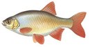 Санаторий Салампи - иконка «рыбалка» в Моргаушах